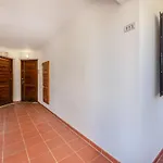 Solar Dos Pinheiros By Interhome * Виламура